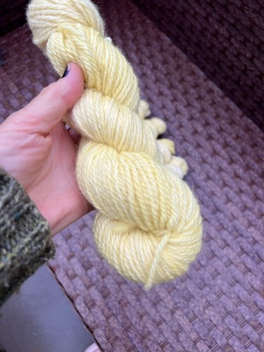 Aran 100g skein handdyed - aran,